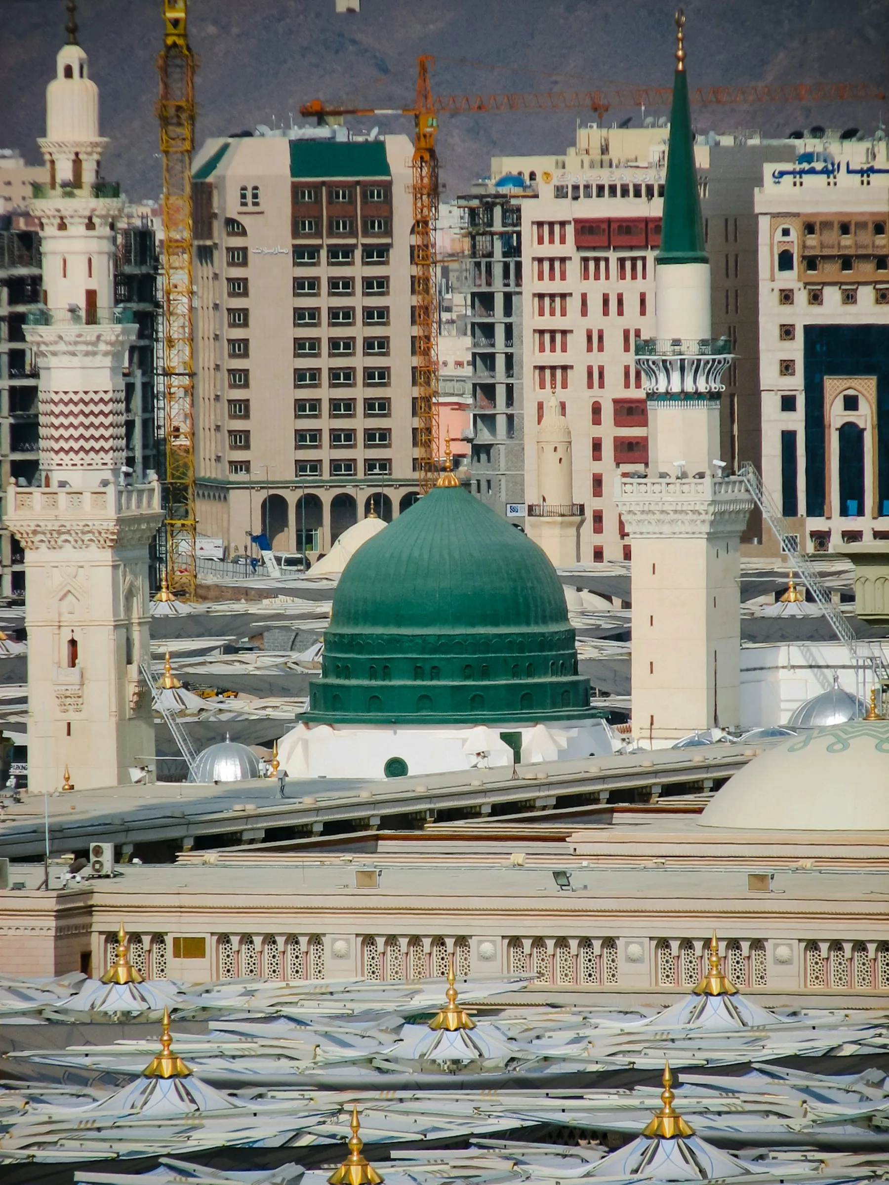 المدينة المنورة — صورة الوجهة